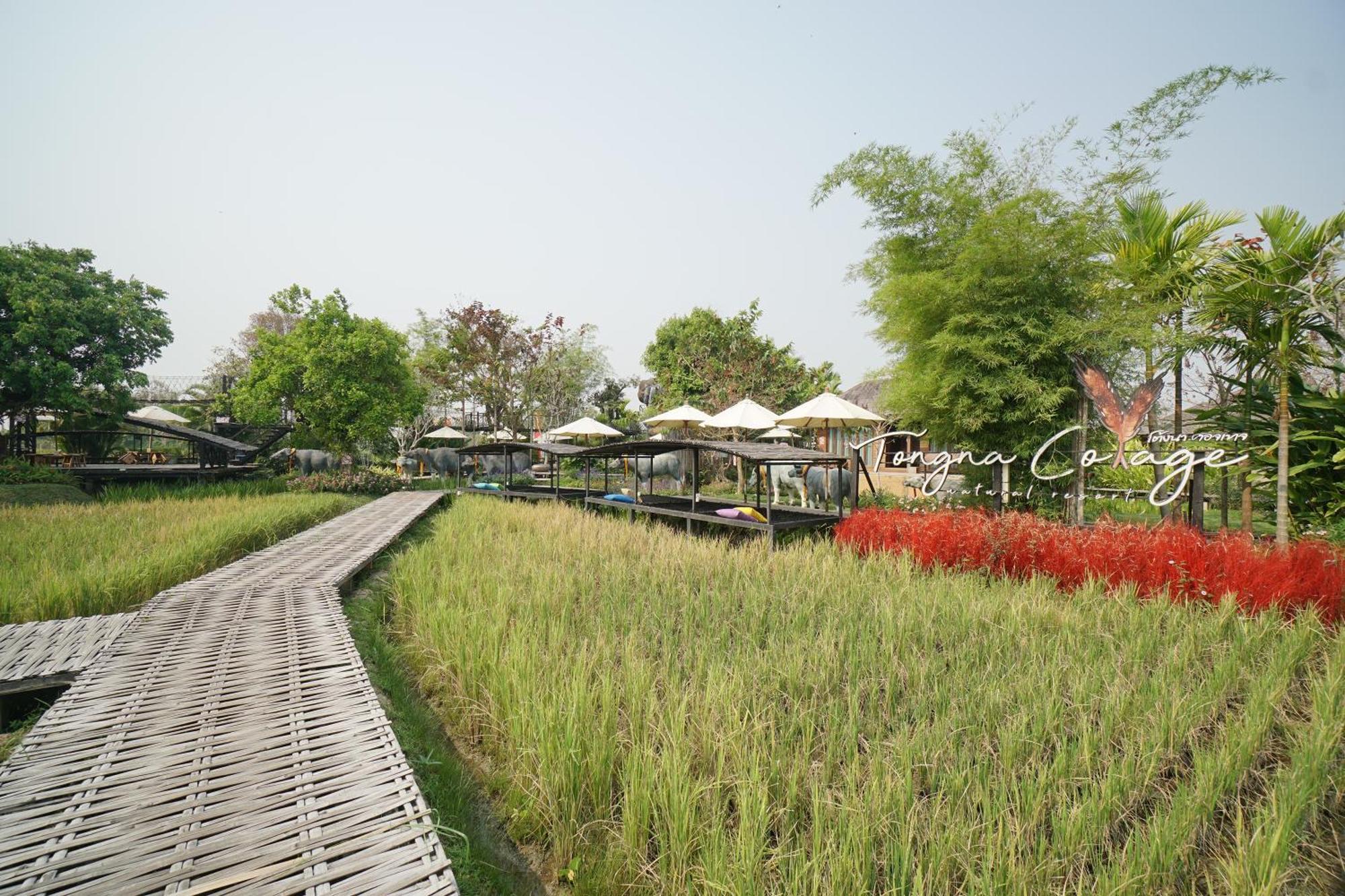 通纳小屋自然度假村 清邁 外观 照片