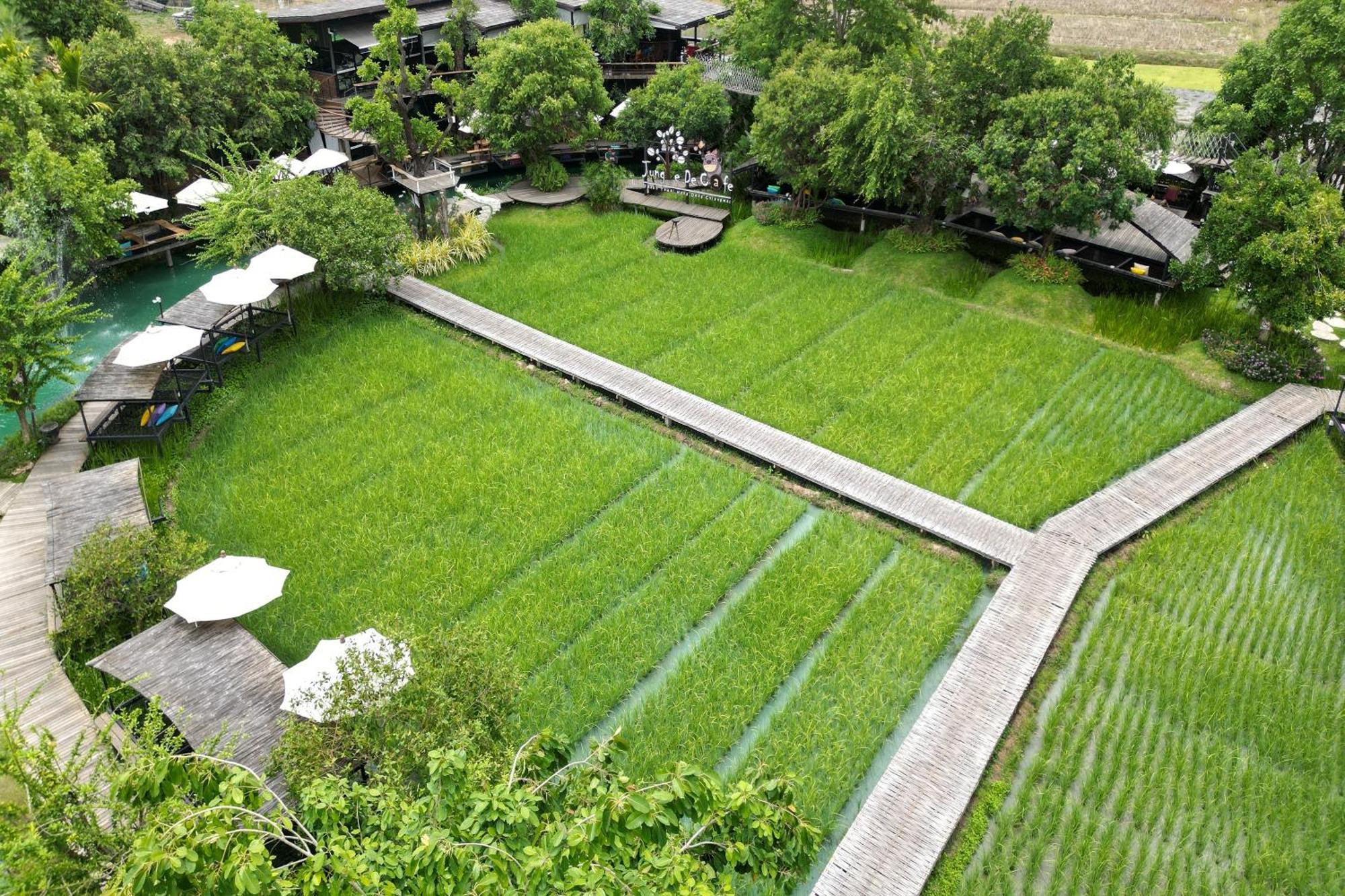 通纳小屋自然度假村 清邁 外观 照片