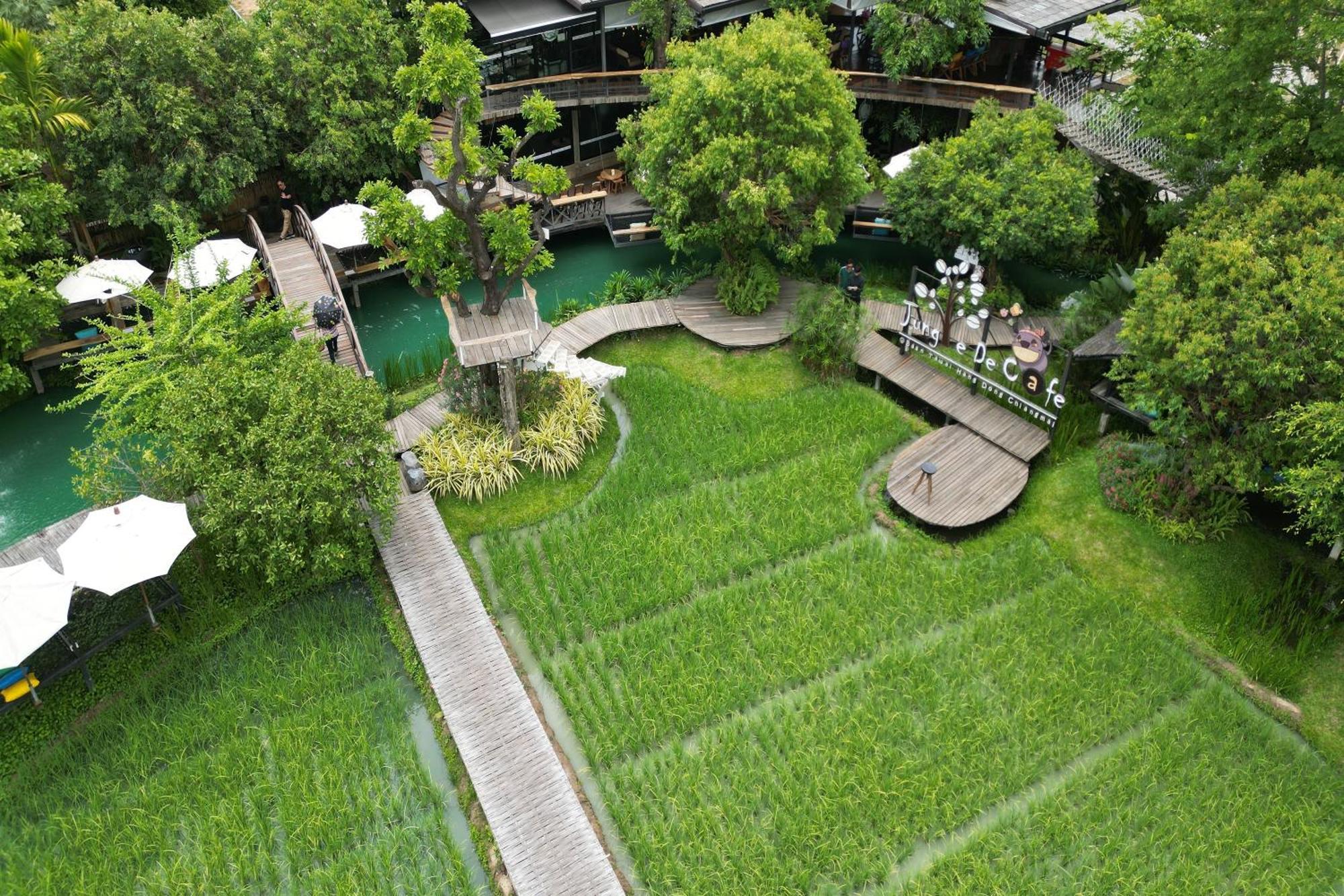 通纳小屋自然度假村 清邁 外观 照片