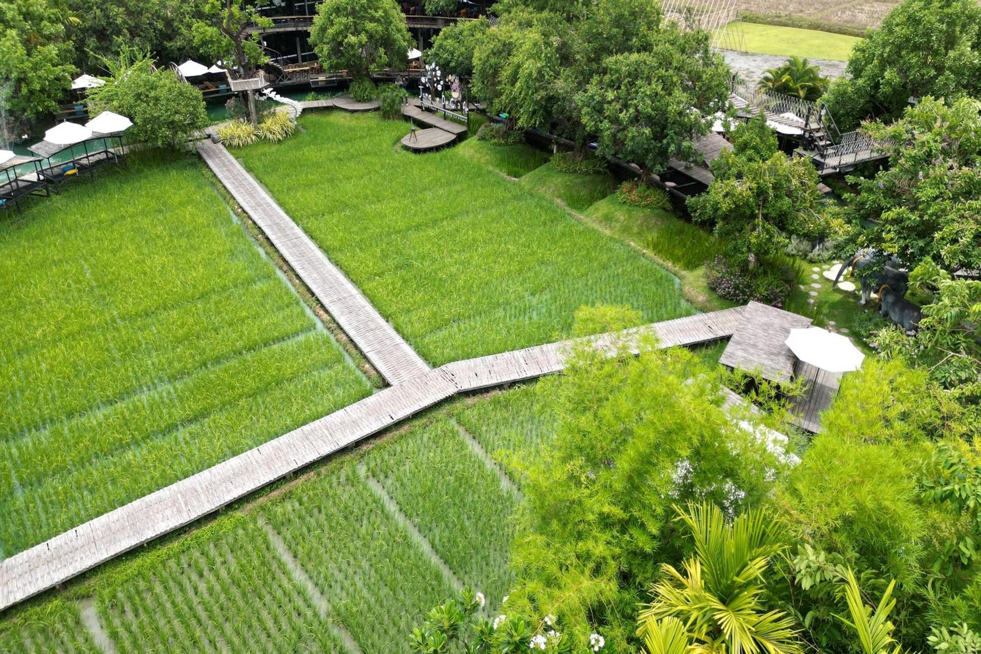 通纳小屋自然度假村 清邁 外观 照片