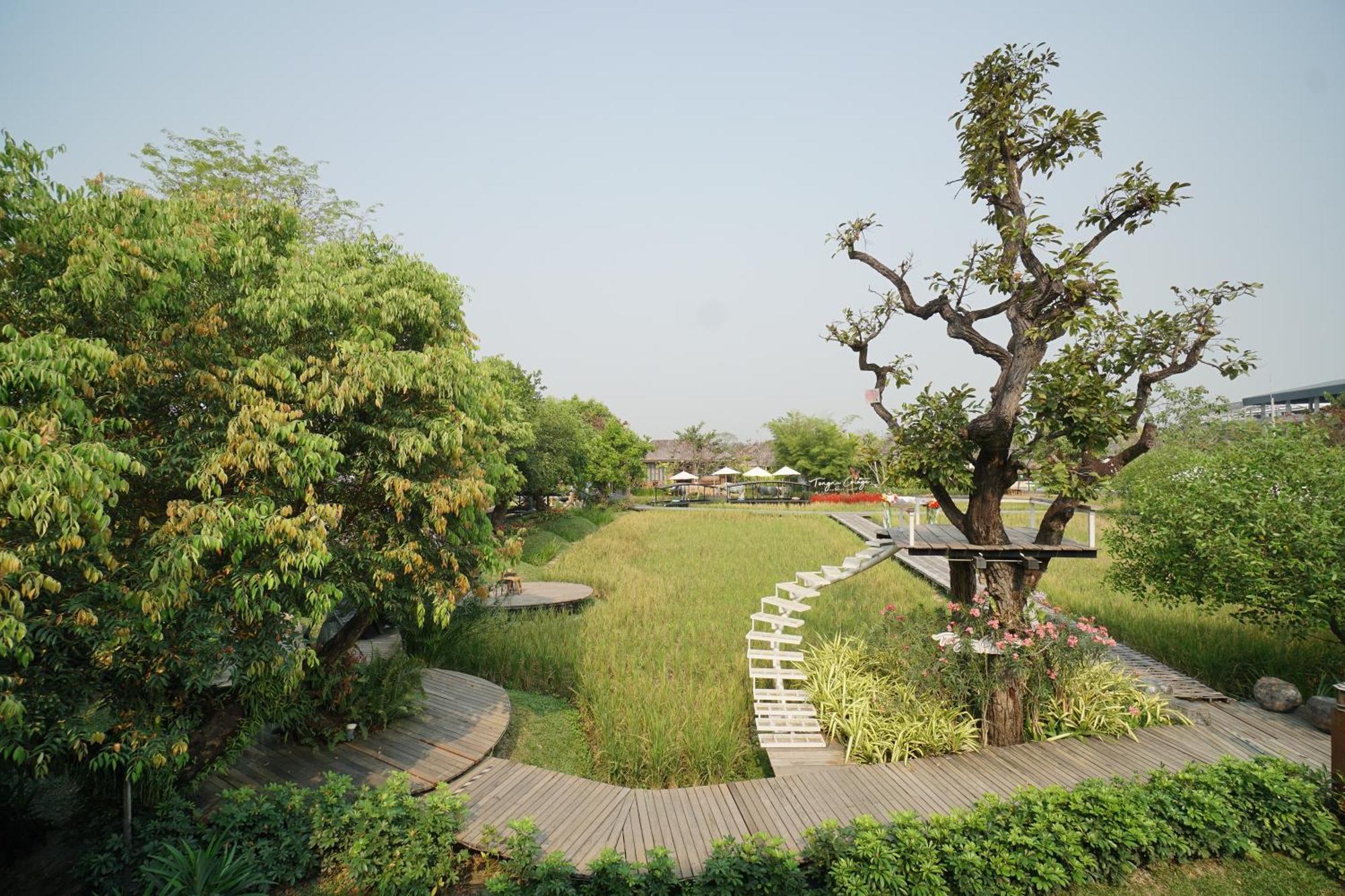 通纳小屋自然度假村 清邁 外观 照片